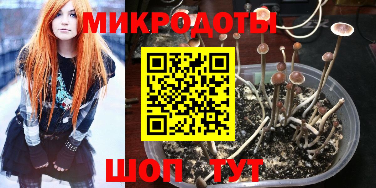 Нерюнгри  Псилоцибиновые грибы Cubensis  Галлюциногенные грибы Magic Shrooms  Вход с VPN 