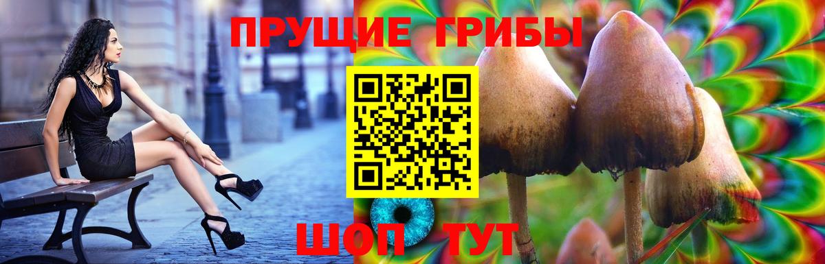 Галлюциногенные грибы MAGIC MUSHROOMS Нерюнгри